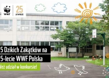 Wspólnie z WWF stwórz „Dzikie zakątki” w szkołach i przedszkolach